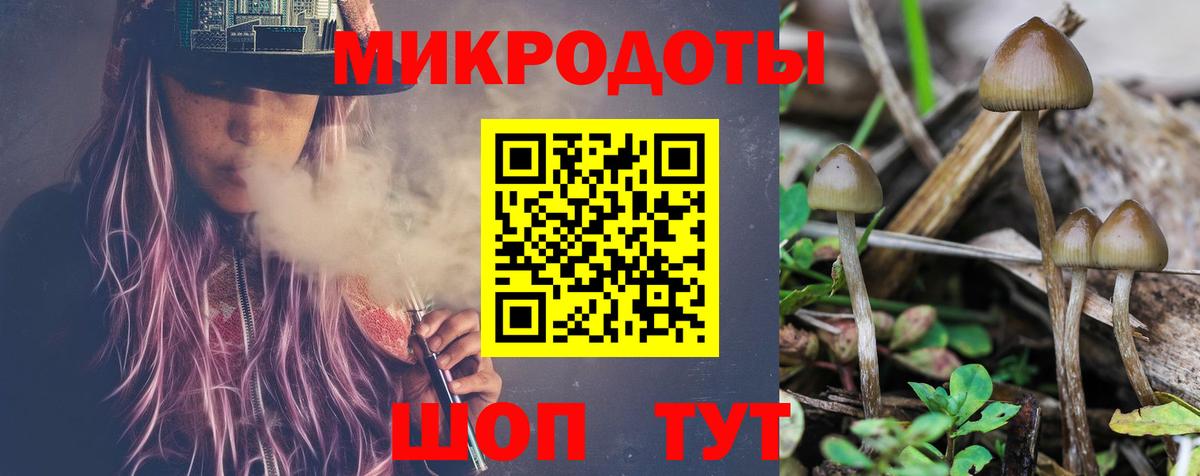 Гусь-Хрустальный  Псилоцибиновые грибы MAGIC MUSHROOMS  Вход с VPN 